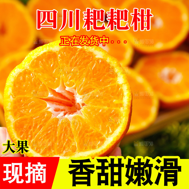 草地上的耙耙柑