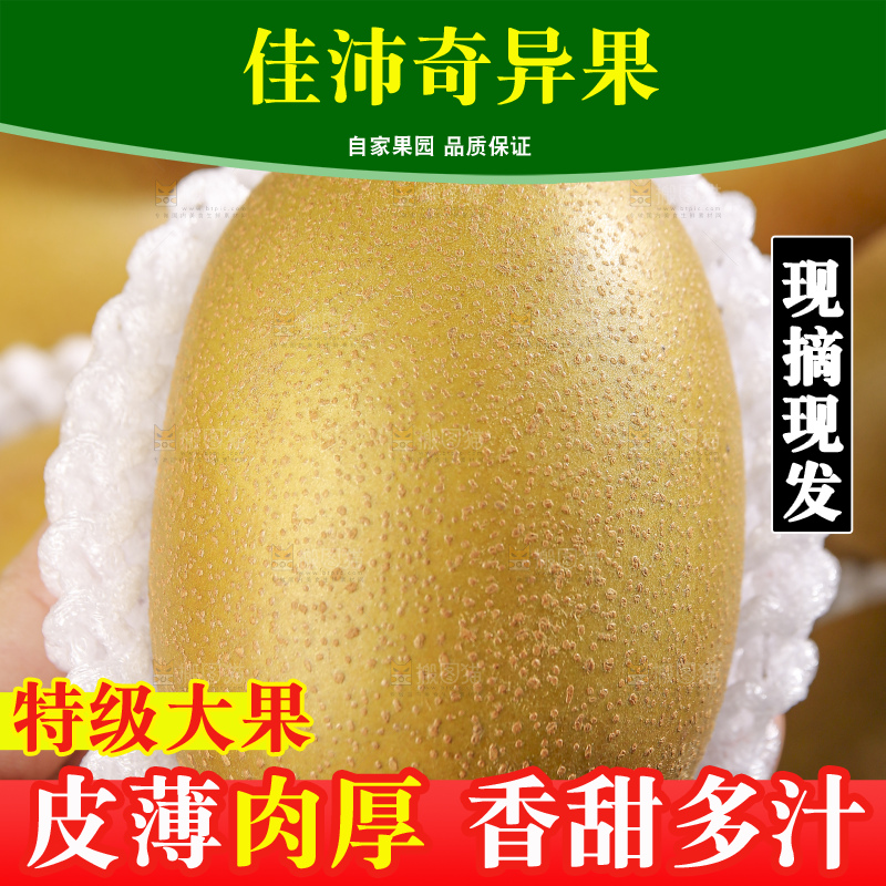 深底上放着佳沛奇异果