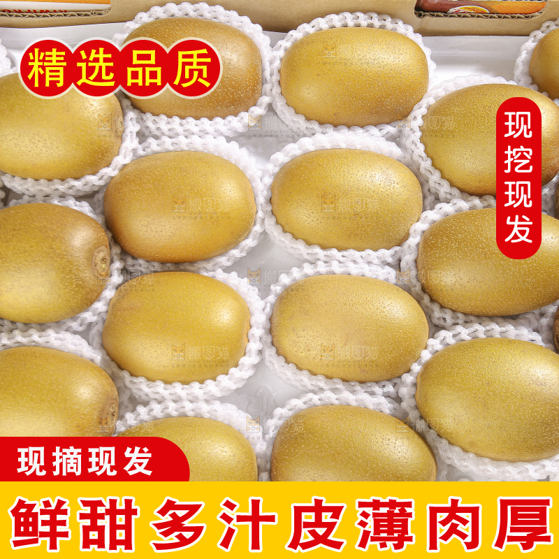 深底上放着佳沛奇异果