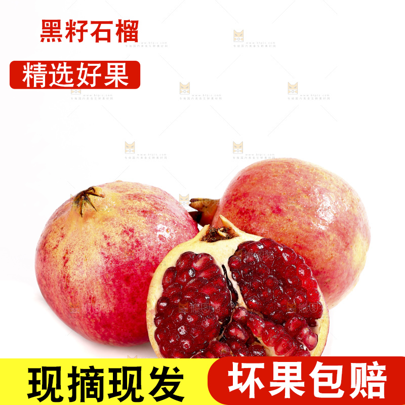 白底上的突尼斯软籽石榴
