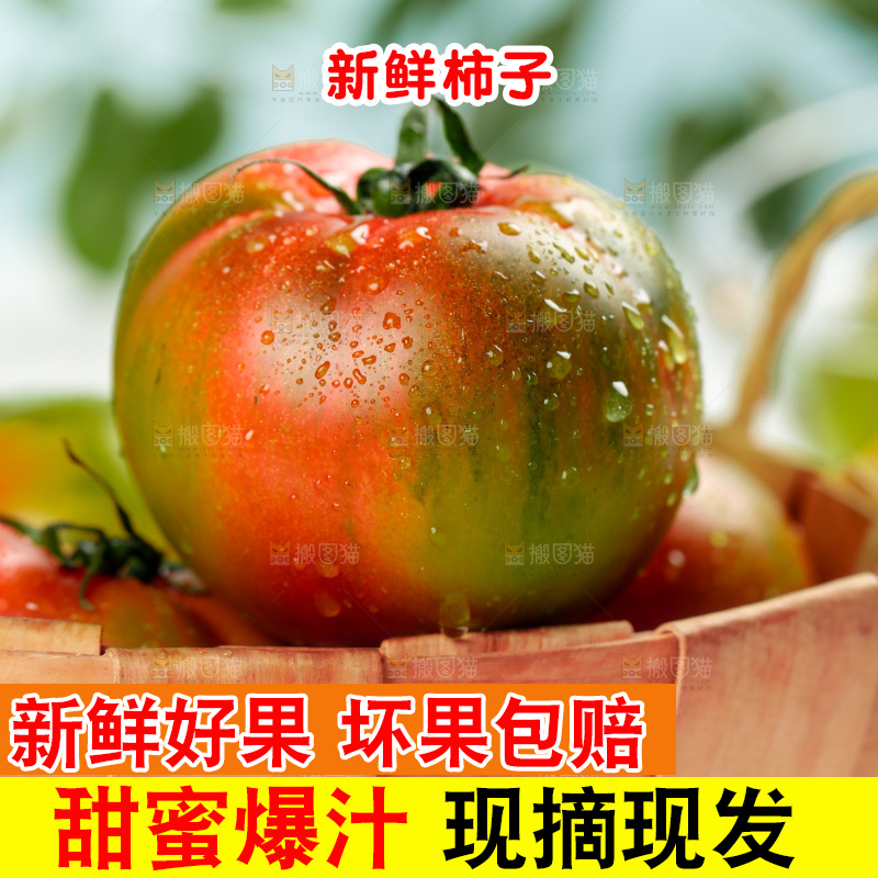 浅底上的铁皮西红柿