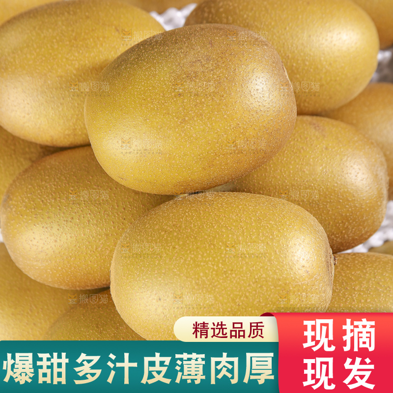 深底上放着佳沛奇异果