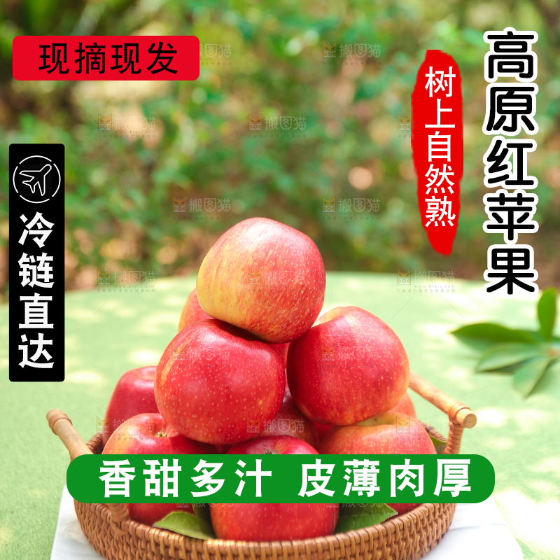 手里拿着高原红苹果
