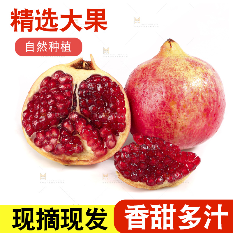 白底上的突尼斯软籽石榴