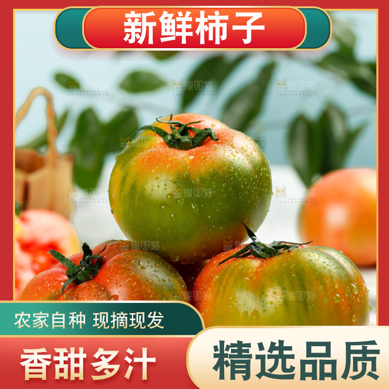 浅底上的铁皮西红柿