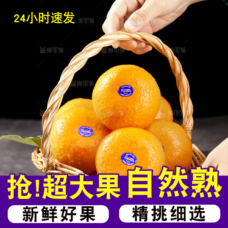 深底上的澳柑