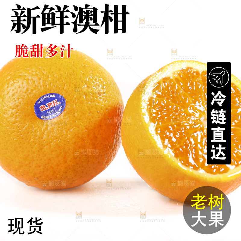 白底上放着新鲜澳柑