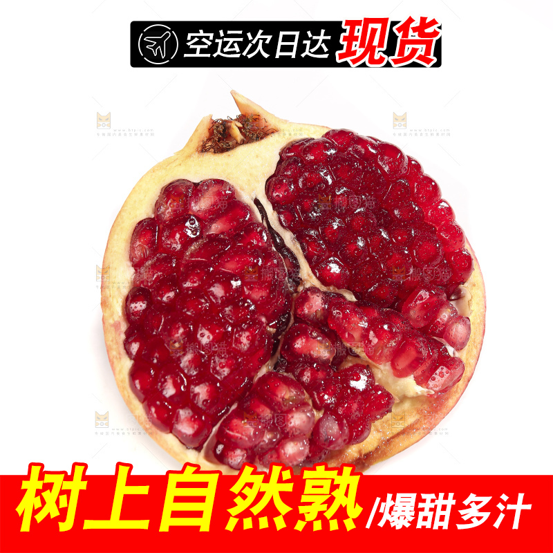 白底上的突尼斯软籽石榴