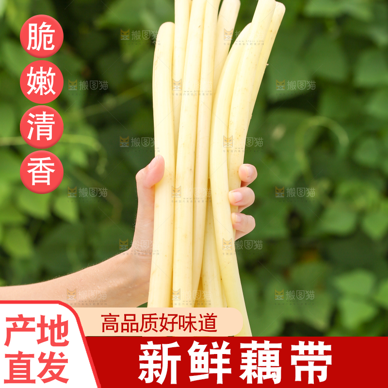 手里拿着藕带
