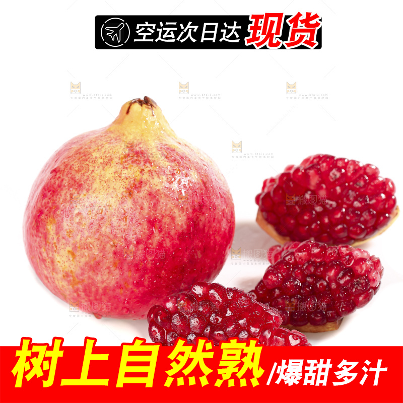 白底上的突尼斯软籽石榴