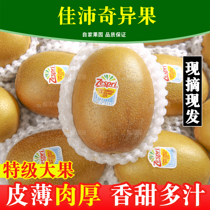 深底上放着佳沛奇异果