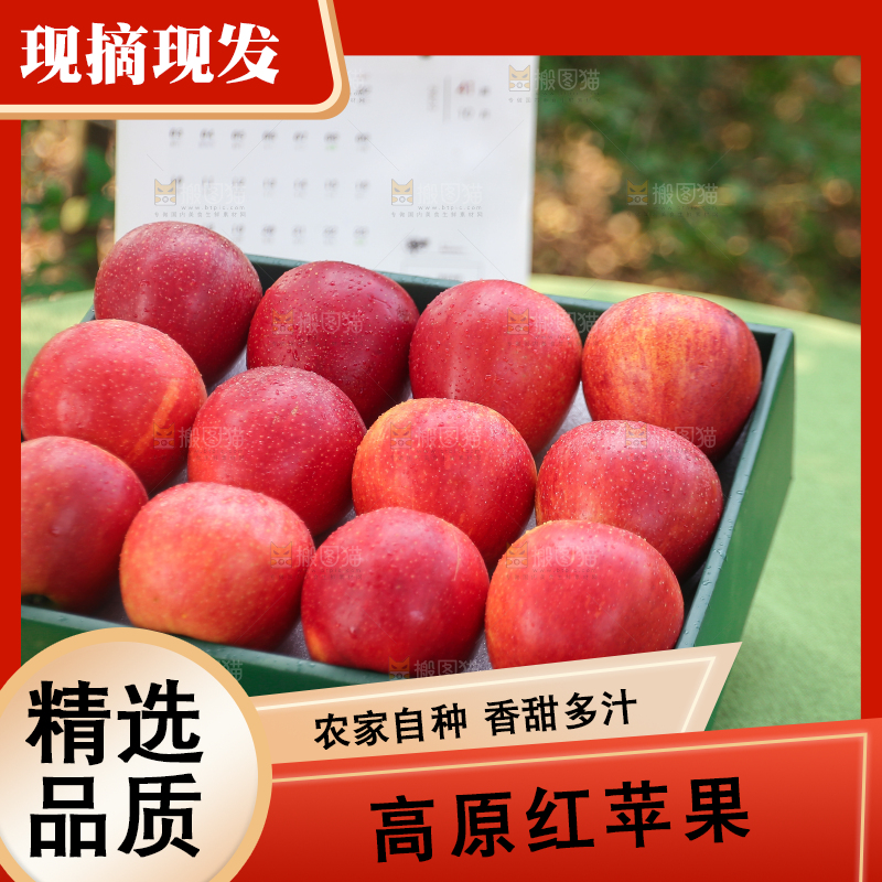 手里拿着高原红苹果