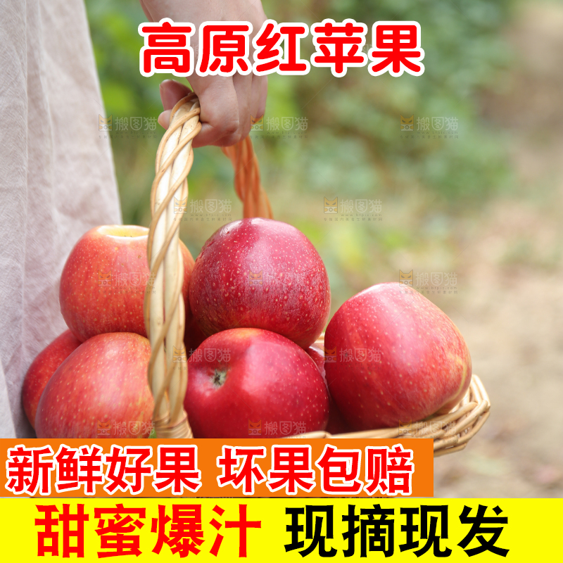 手里拿着高原红苹果