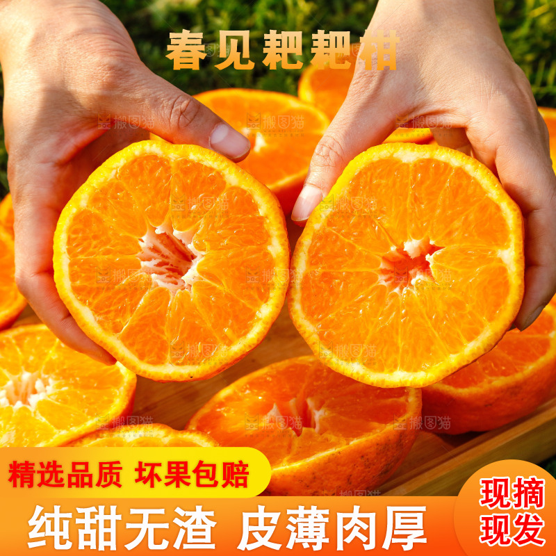 草地上的耙耙柑