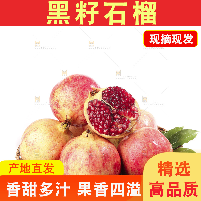 白底上的突尼斯软籽石榴