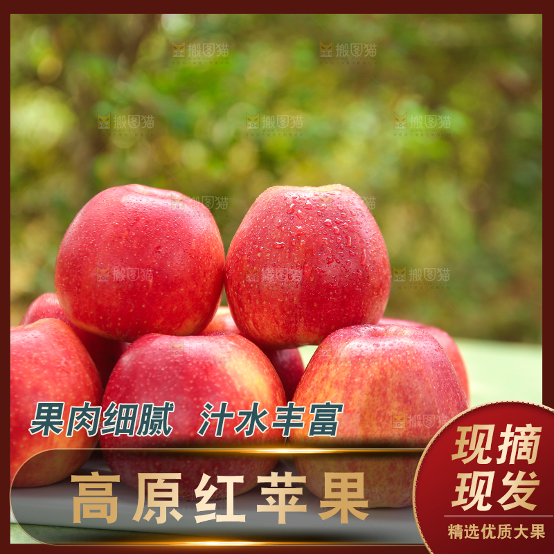 手里拿着高原红苹果