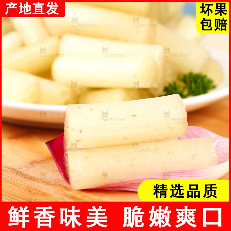 浅底上的藕带