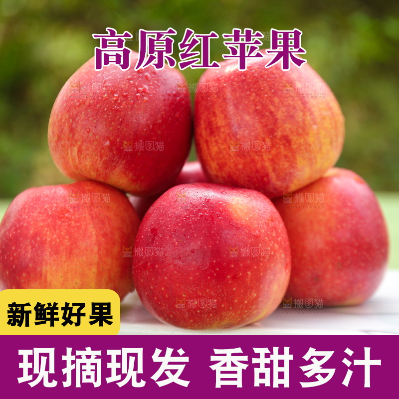 手里拿着高原红苹果