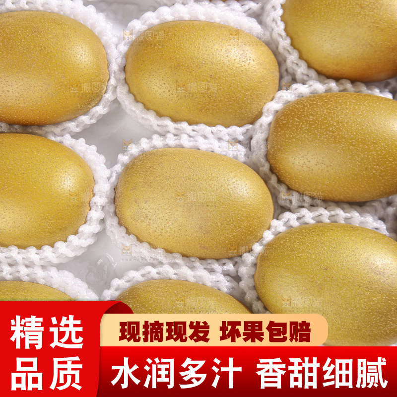 深底上放着佳沛奇异果