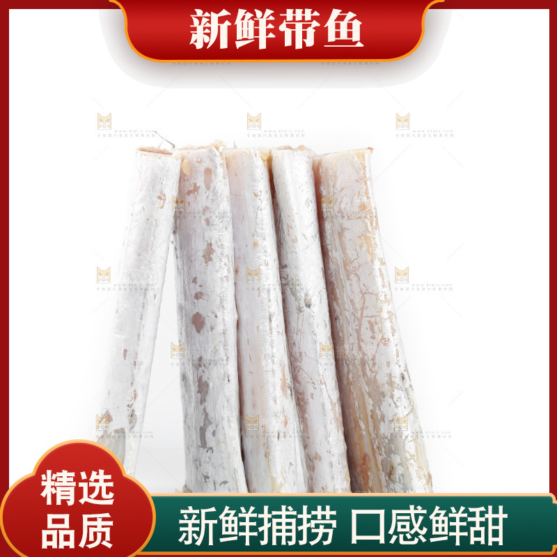白底上的带鱼段