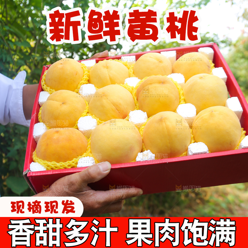 手里拿着炎陵黄桃