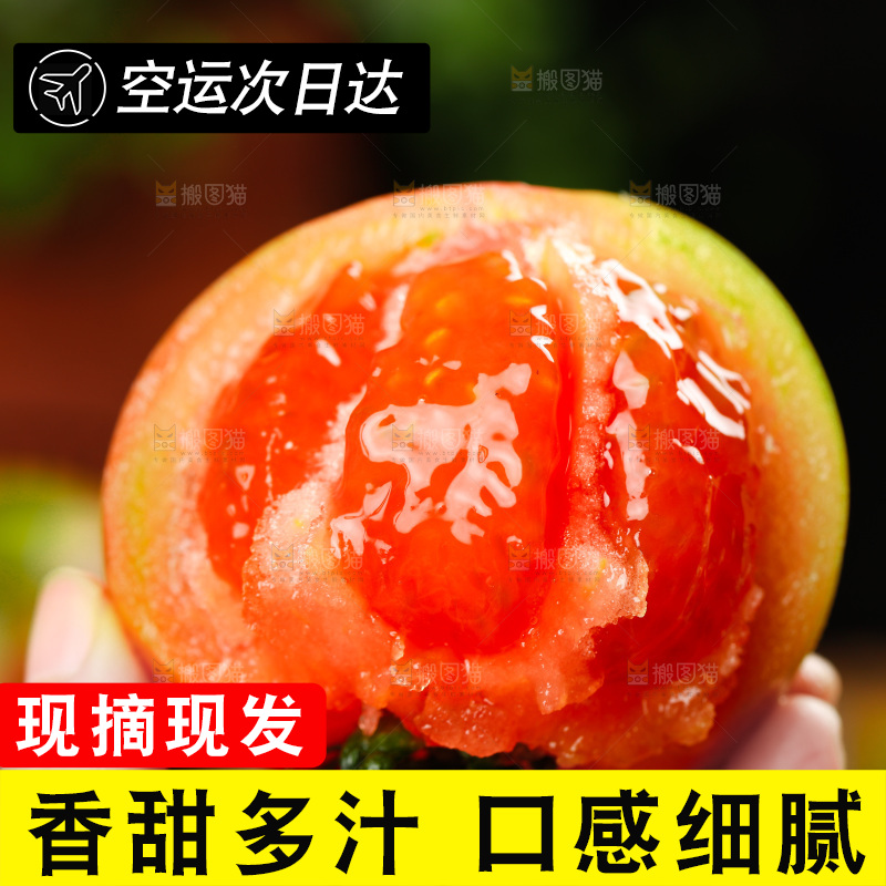 浅底上的铁皮西红柿