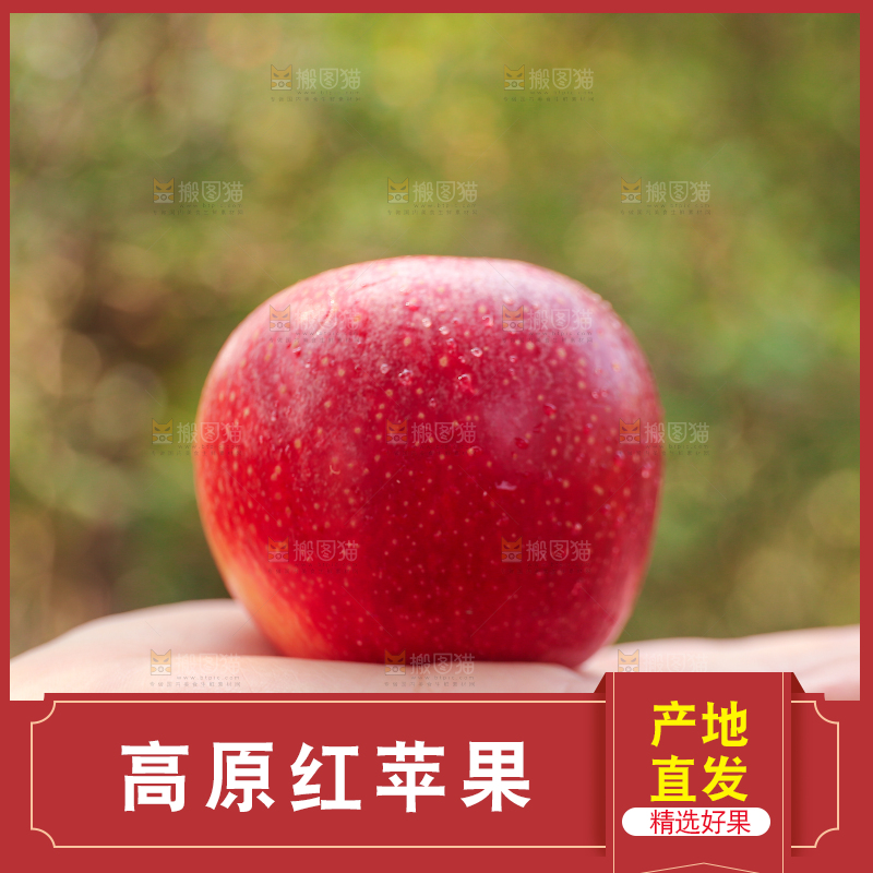 手里拿着高原红苹果