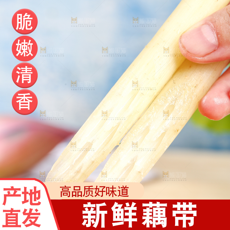 浅底上的藕带