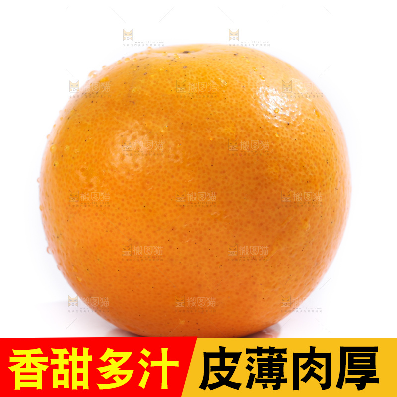 白底上的麻阳冰糖橙