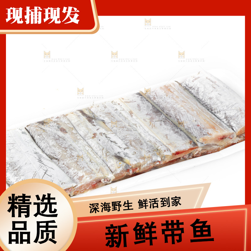 白底上的带鱼段