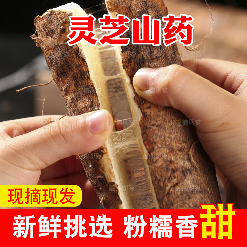 手里拉丝的灵芝山药