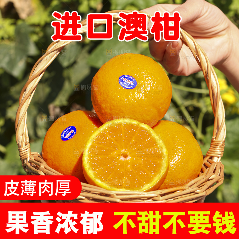 手里拿着进口澳柑