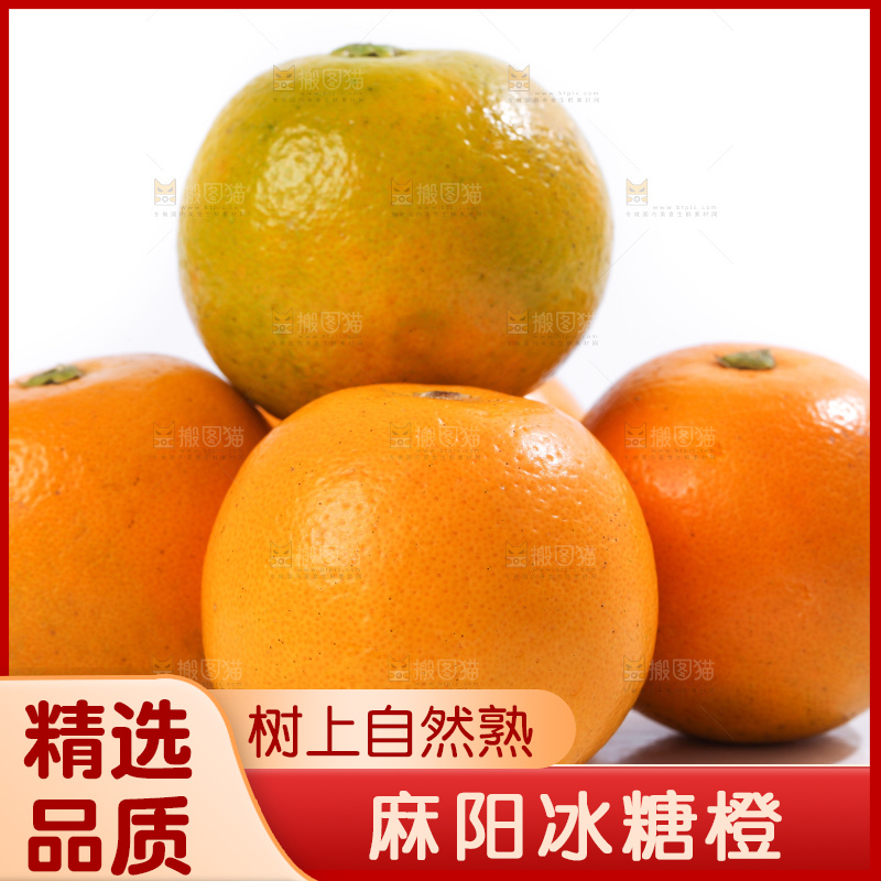 白底上的麻阳冰糖橙