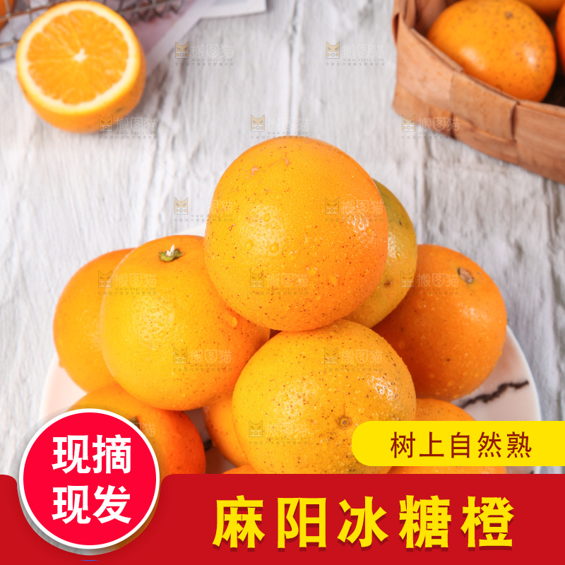 浅底上的麻阳冰糖橙