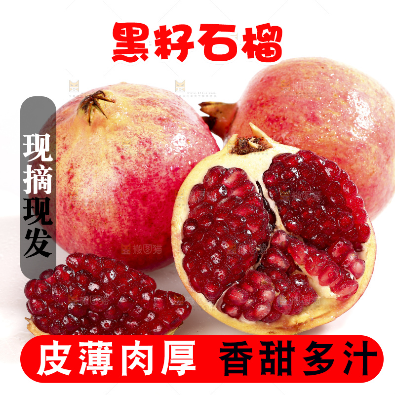 白底上的突尼斯软籽石榴