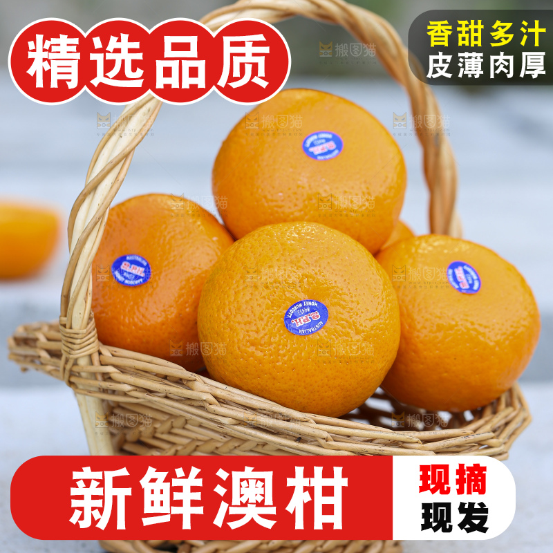 手里拿着进口澳柑