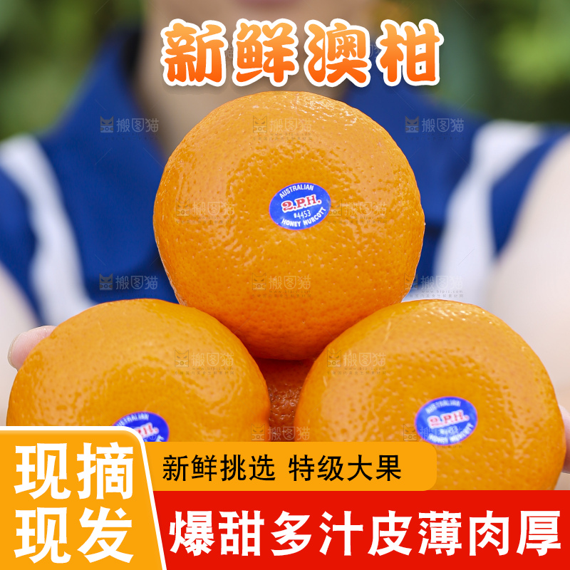 手里拿着进口澳柑