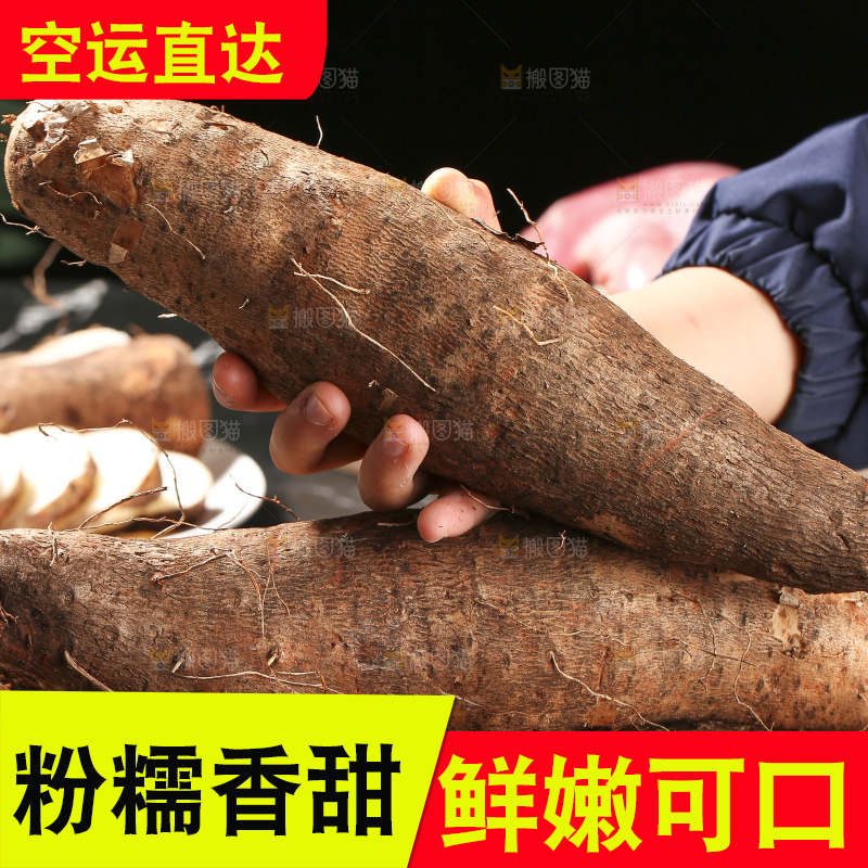 深底上放着灵芝山药