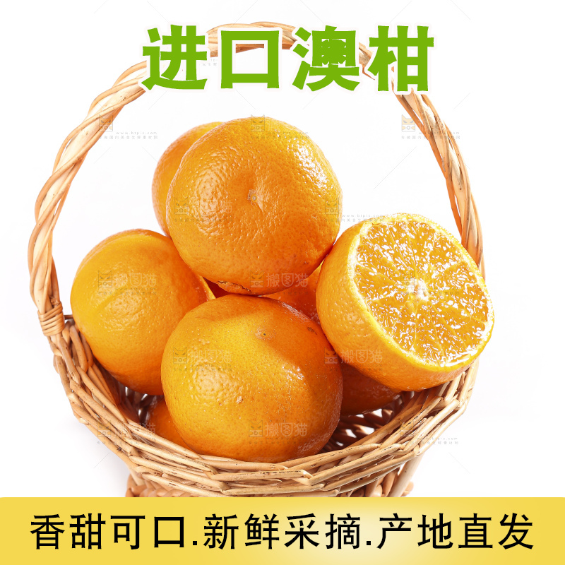 白底上放着新鲜澳柑
