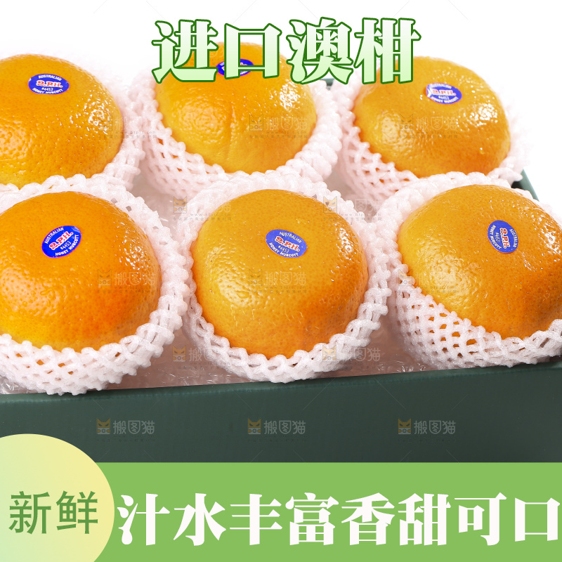 白底上放着新鲜澳柑