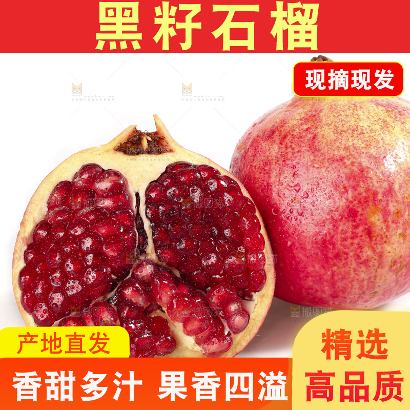 白底上的突尼斯软籽石榴