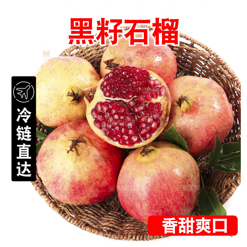 白底上的突尼斯软籽石榴