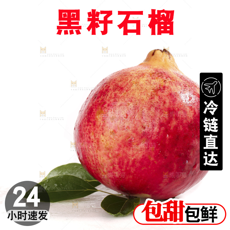 白底上的突尼斯软籽石榴