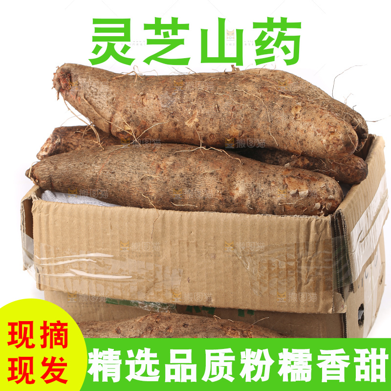 白底上的云南灵芝山药