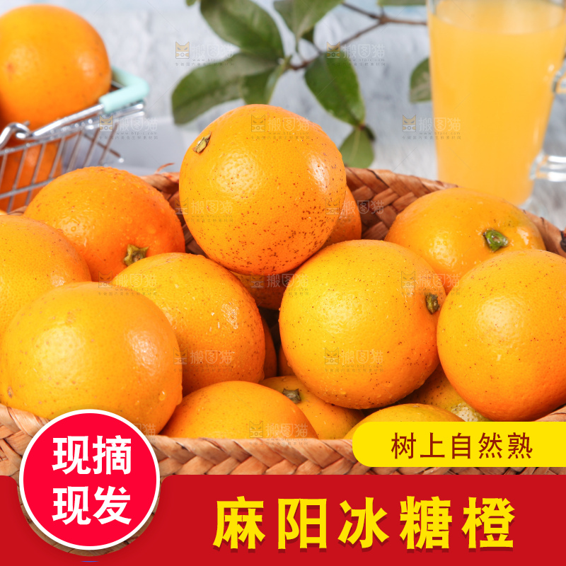 浅底上的麻阳冰糖橙