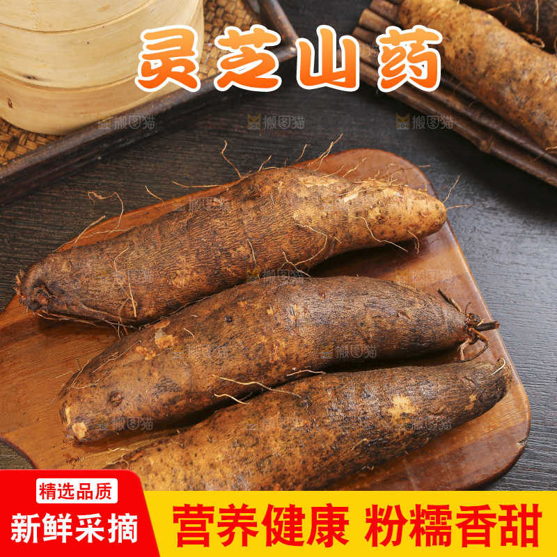 深底上的灵芝山药
