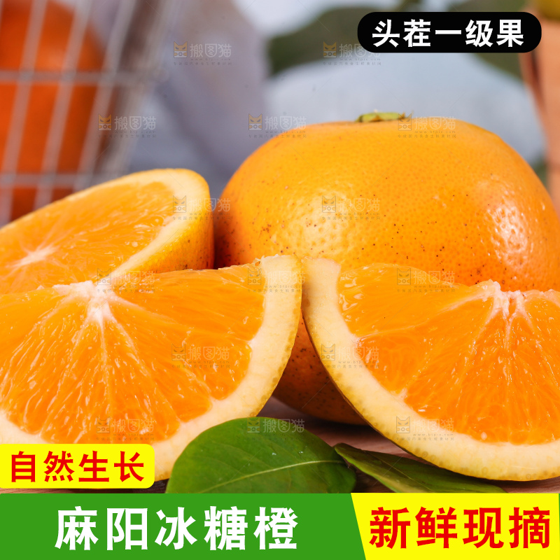 浅底上的麻阳冰糖橙