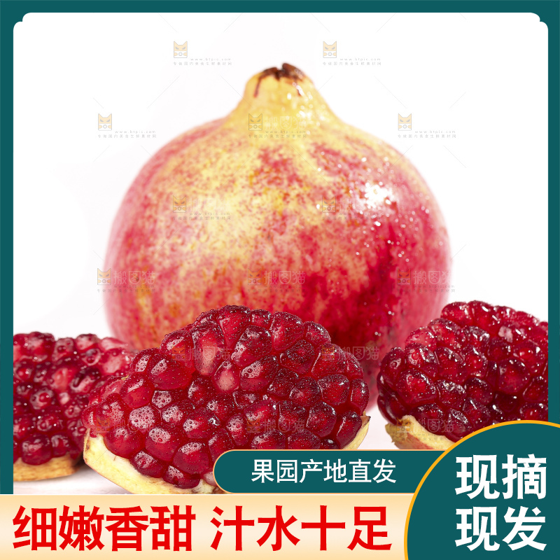 白底上的突尼斯软籽石榴