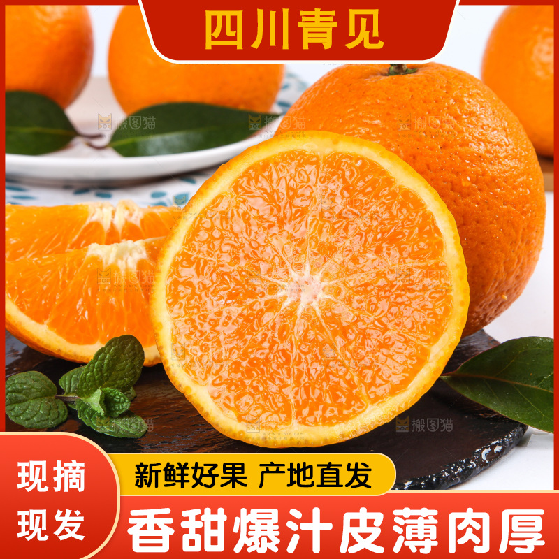 白底上放着青见柑橘