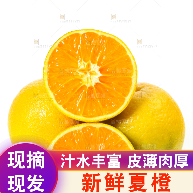 白底上放着的夏橙